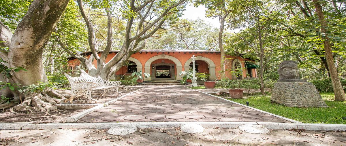 Foto de rancho en venta en bugambilias , jonacatepec, jonacatepec de leandro valle, morelos, 29805373 No. 05