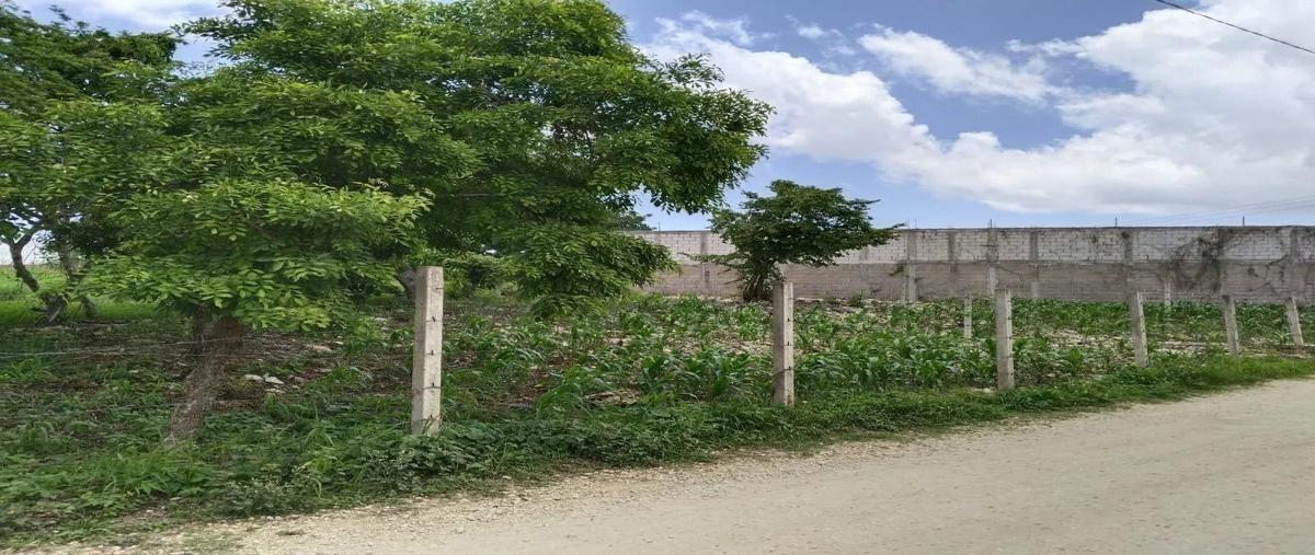 Foto de terreno habitacional en venta en bugambilias , la ejidal, berriozábal, chiapas, 0 No. 05