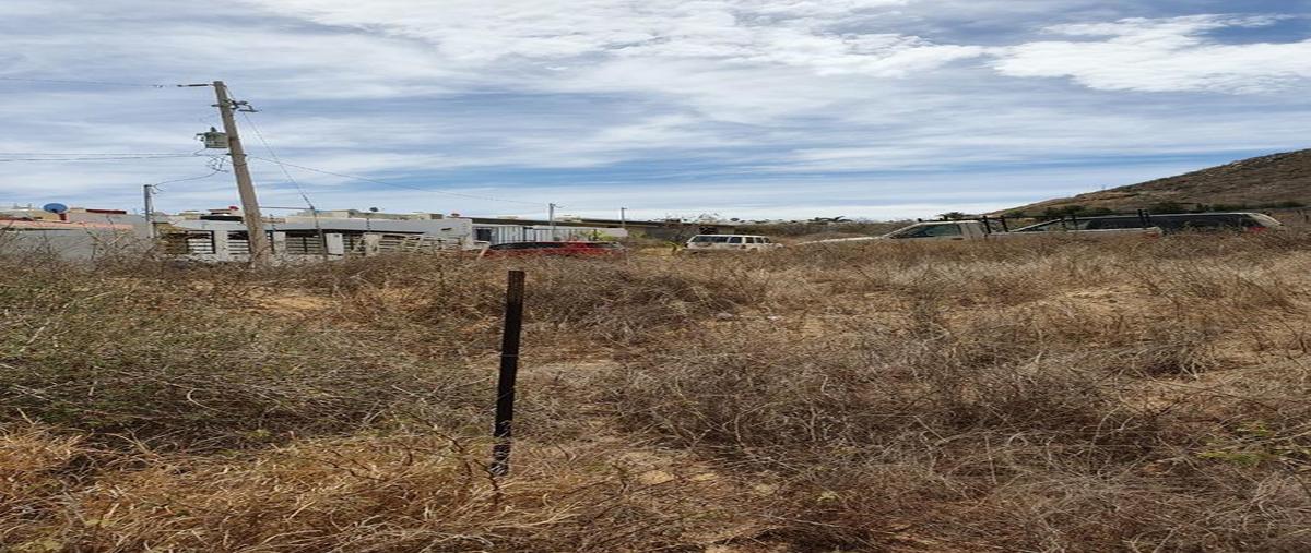 Foto de terreno habitacional en venta en  , bugambilias, los cabos, baja california sur, 7293264 No. 03