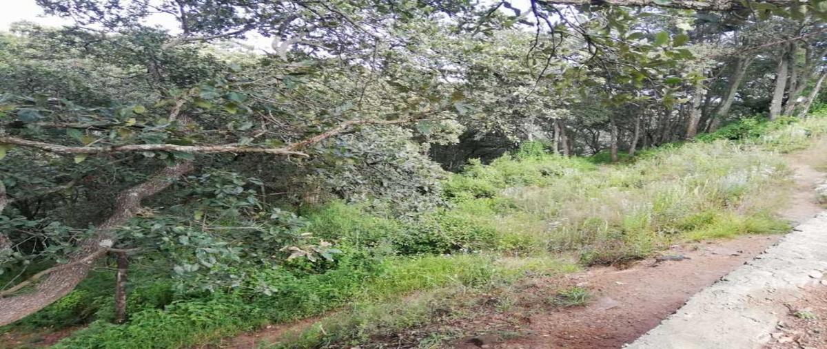 Foto de terreno habitacional en venta en bulevard de la torre lote 3 mz39, condado de sayavedra, atizapán de zaragoza, méxico, 9213775 No. 03