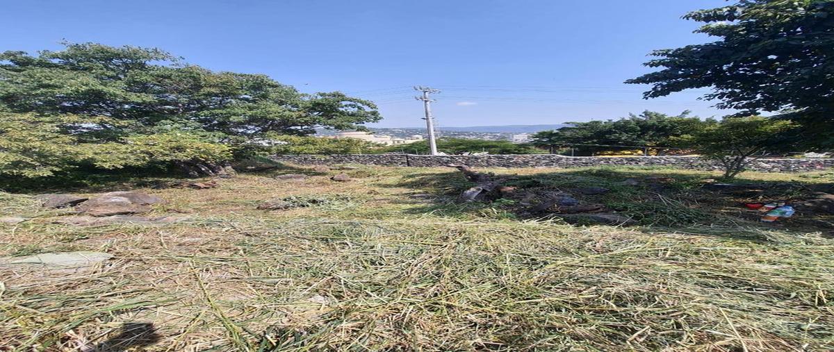 Foto de terreno habitacional en venta en  , burgos bugambilias, temixco, morelos, 0 No. 04