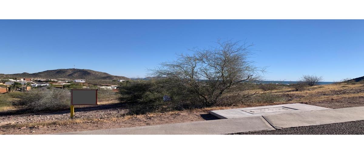 Foto de terreno habitacional en venta en  , burro lindo, hermosillo, sonora, 0 No. 03