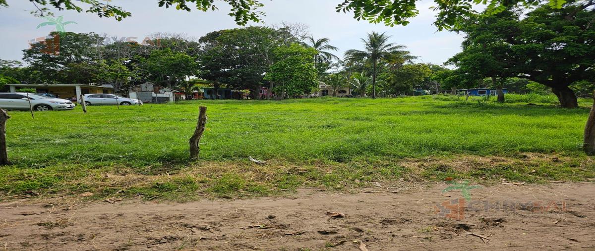 Foto de terreno habitacional en venta en  , bustos 1, tampico alto, veracruz de ignacio de la llave, 31608335 No. 03