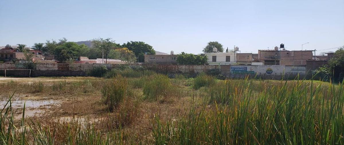 Foto de terreno habitacional en venta en c, lerdo de tejada 26 , tlajomulco centro, tlajomulco de zúñiga, jalisco, 27924675 No. 05