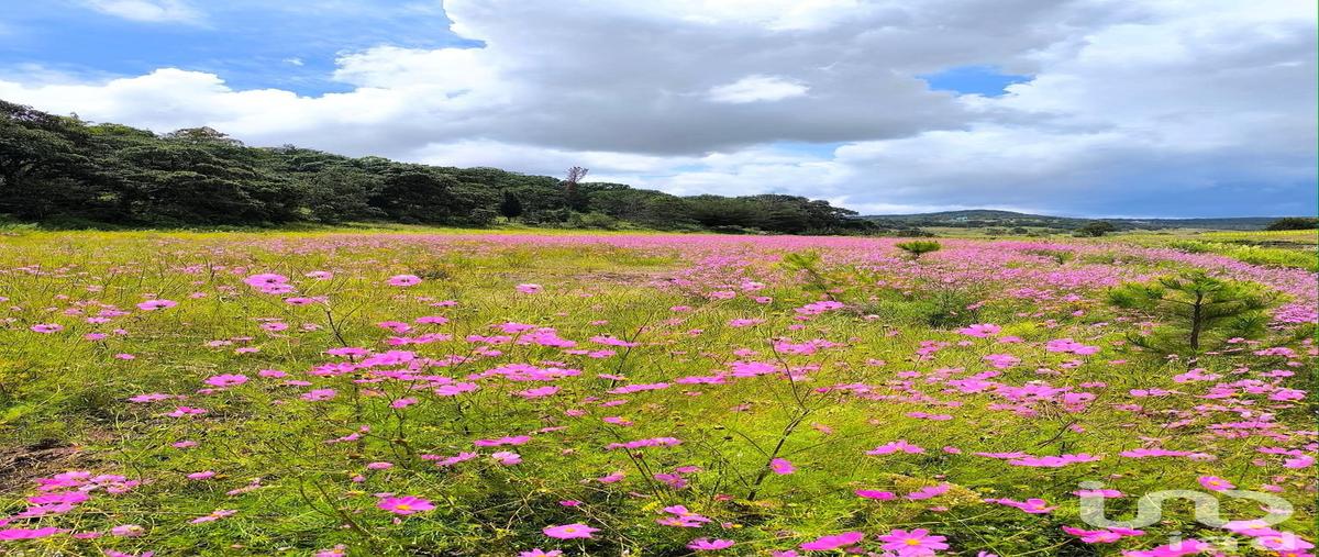 Foto de terreno habitacional en venta en cabañas 78, san pedro tenango, amealco de bonfil, querétaro, 30948894 No. 03