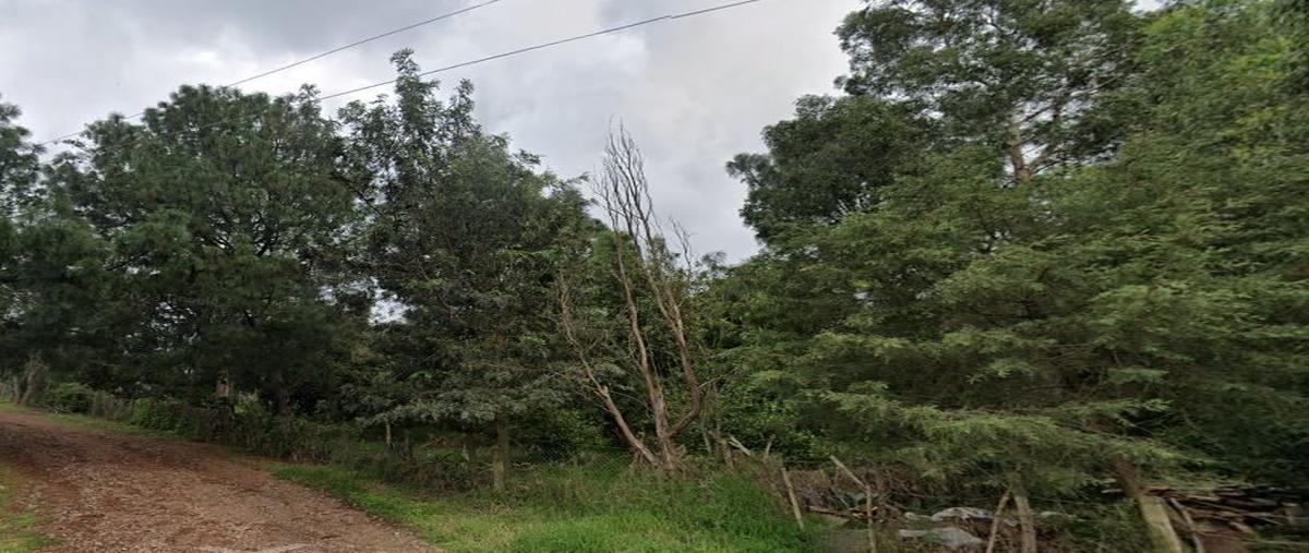 Foto de terreno habitacional en venta en cabañas las palomas , mazamitla, mazamitla, jalisco, 28268245 No. 05