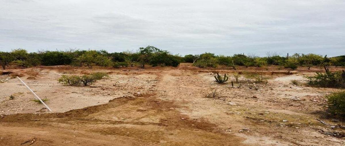 Foto de terreno habitacional en venta en cabo del este , la playita, los cabos, baja california sur, 0 No. 04