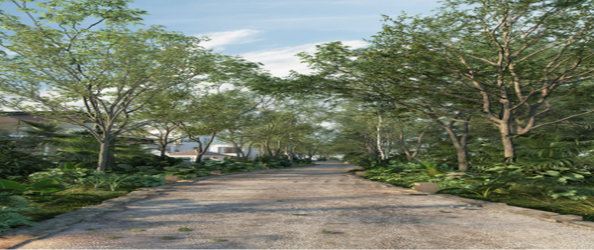 Foto de terreno habitacional en venta en  , cabo norte, mérida, yucatán, 23339946 No. 05