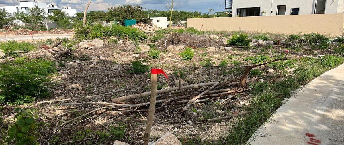Foto de terreno habitacional en venta en  , cabo norte, mérida, yucatán, 25330113 No. 03