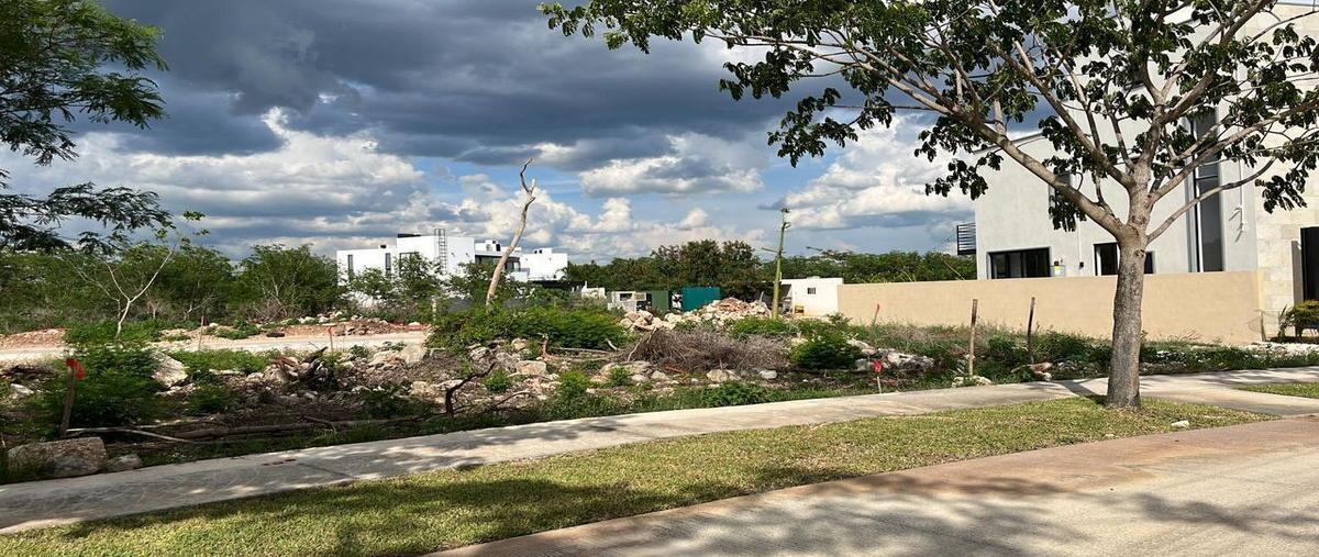 Foto de terreno habitacional en venta en  , cabo norte, mérida, yucatán, 25330113 No. 04