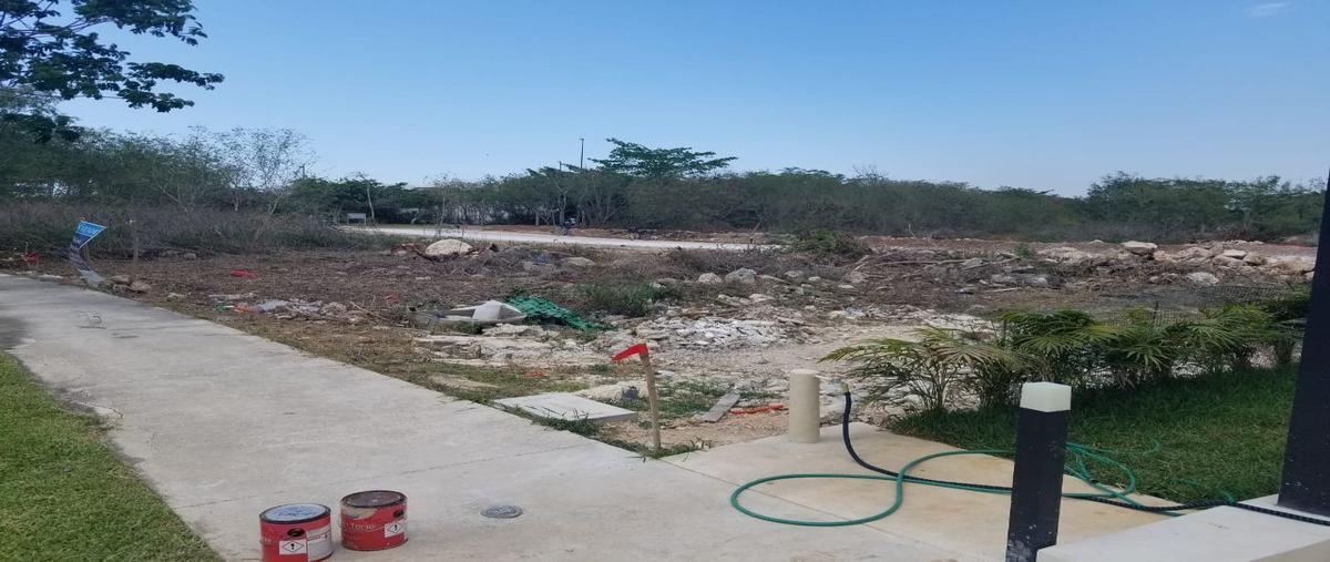 Foto de terreno habitacional en venta en  , cabo norte, mérida, yucatán, 25330113 No. 05