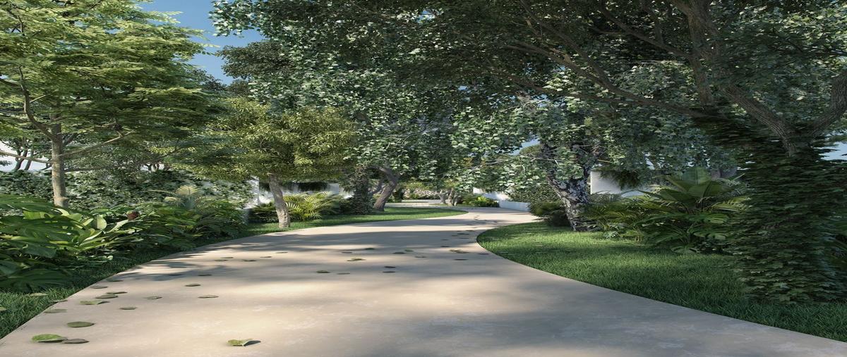 Foto de terreno habitacional en venta en  , cabo norte, mérida, yucatán, 25358743 No. 03