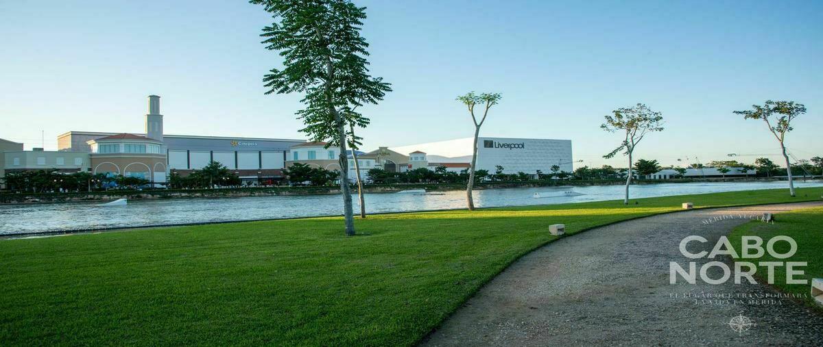 Foto de terreno habitacional en venta en  , cabo norte, mérida, yucatán, 25910360 No. 05