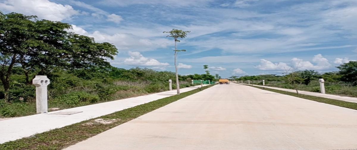 Foto de terreno habitacional en venta en  , cabo norte, mérida, yucatán, 27100270 No. 04