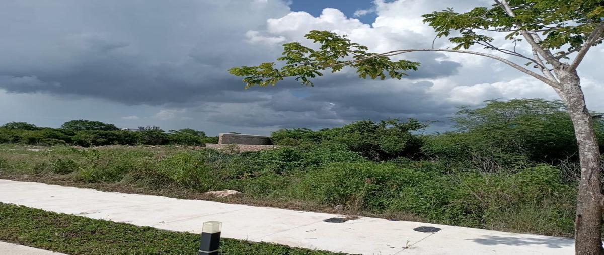 Foto de terreno habitacional en venta en  , cabo norte, mérida, yucatán, 27100270 No. 05
