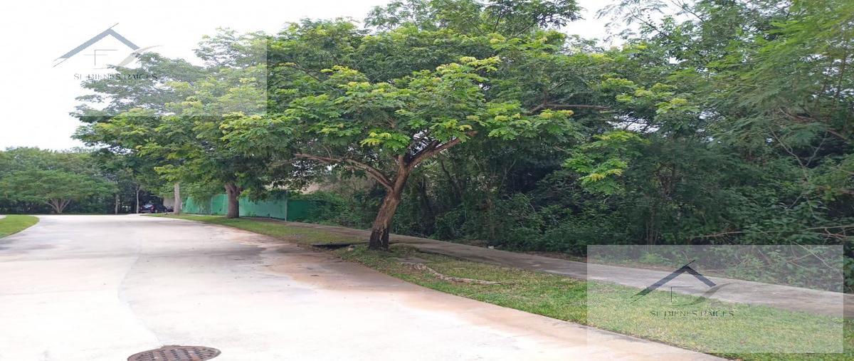 Foto de terreno habitacional en venta en  , cabo norte, mérida, yucatán, 27251647 No. 03