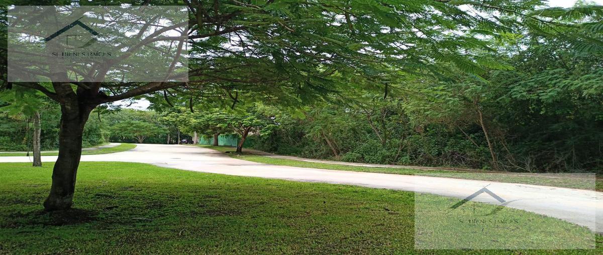 Foto de terreno habitacional en venta en  , cabo norte, mérida, yucatán, 27251647 No. 04