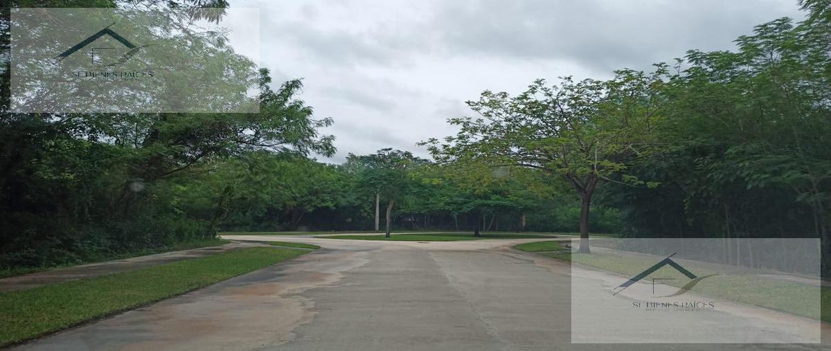 Foto de terreno habitacional en venta en  , cabo norte, mérida, yucatán, 27251647 No. 05