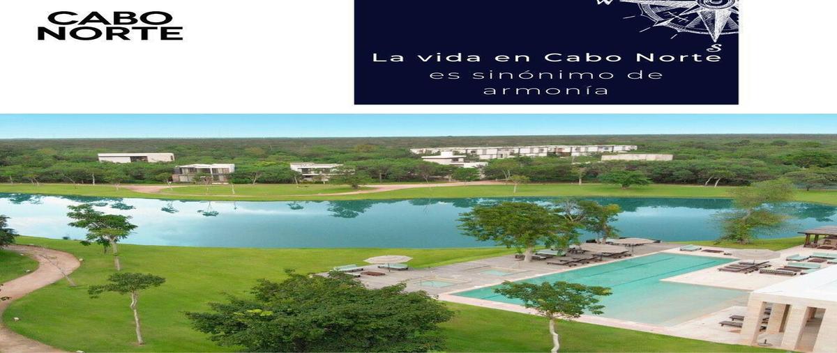Foto de terreno habitacional en venta en  , cabo norte, mérida, yucatán, 0 No. 05