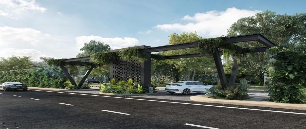 Foto de terreno habitacional en venta en  , cabo norte, mérida, yucatán, 27509585 No. 03