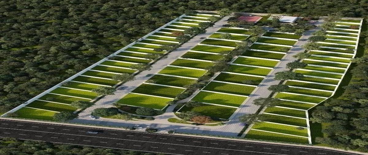 Foto de terreno habitacional en venta en  , cabo norte, mérida, yucatán, 27509585 No. 05