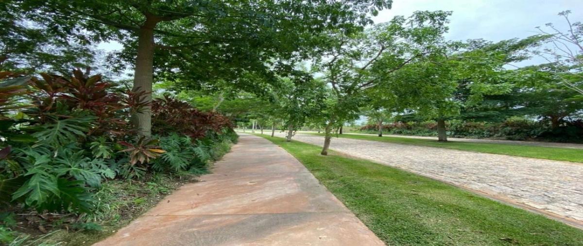 Foto de terreno habitacional en venta en  , cabo norte, mérida, yucatán, 27939927 No. 04