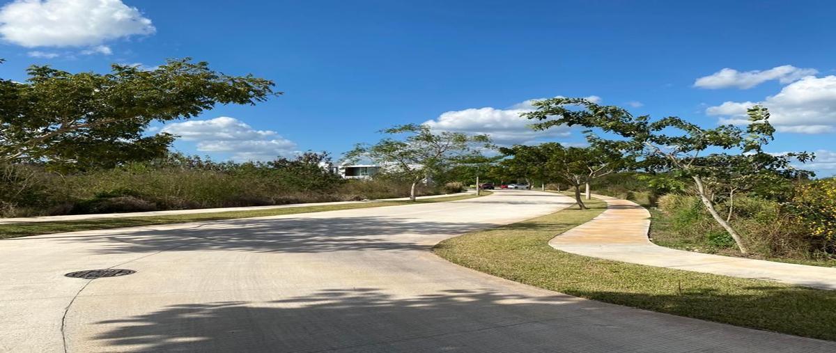 Foto de terreno habitacional en venta en  , cabo norte, mérida, yucatán, 28191610 No. 05