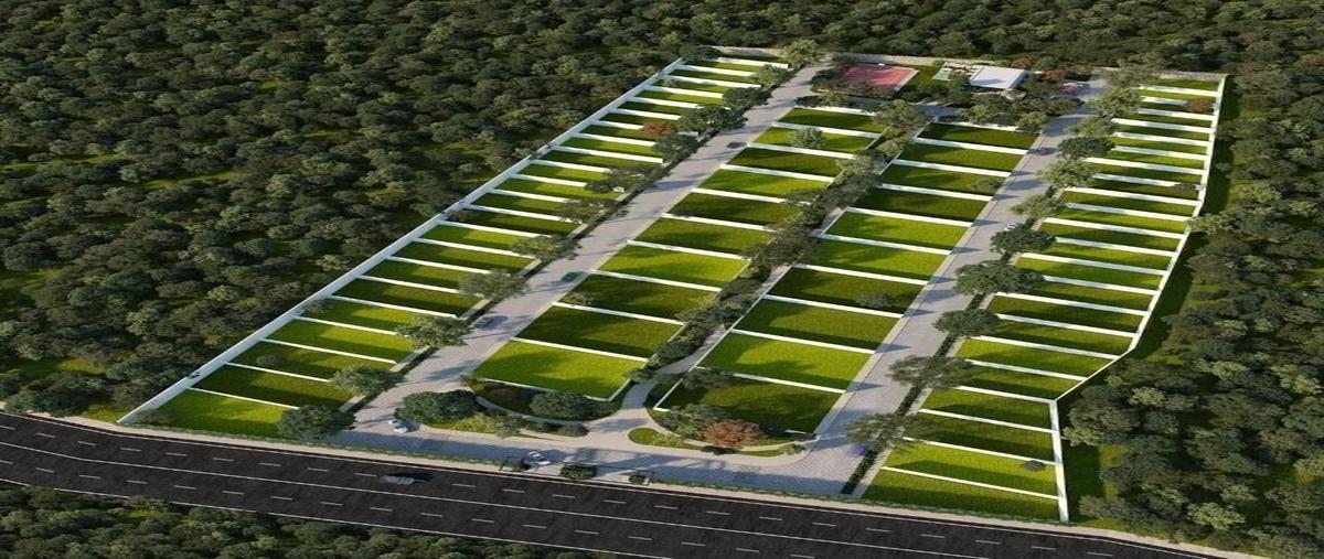 Foto de terreno habitacional en venta en  , cabo norte, mérida, yucatán, 28517799 No. 03