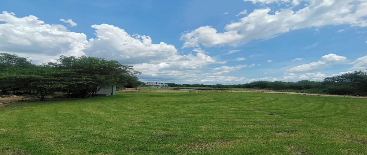 Foto de terreno habitacional en venta en  , cabo norte, mérida, yucatán, 28559242 No. 04