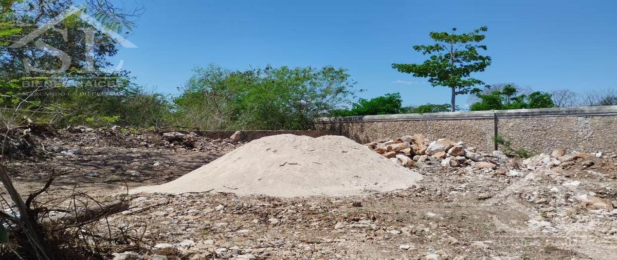 Foto de terreno habitacional en venta en  , cabo norte, mérida, yucatán, 28579261 No. 03