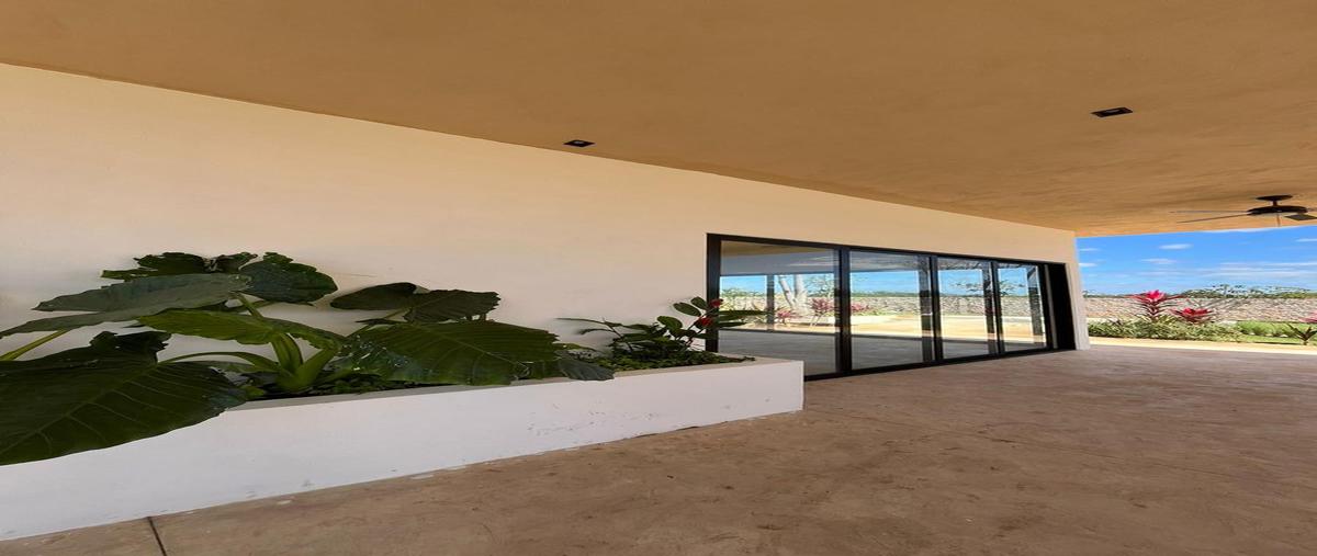 Foto de terreno habitacional en venta en  , cabo norte, mérida, yucatán, 0 No. 05