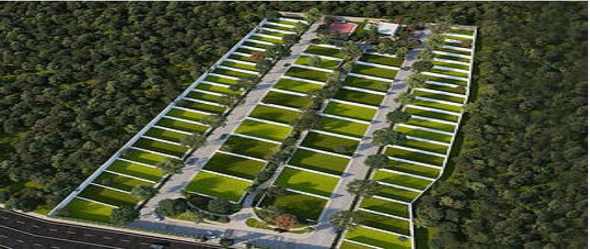 Foto de terreno habitacional en venta en  , cabo norte, mérida, yucatán, 0 No. 03
