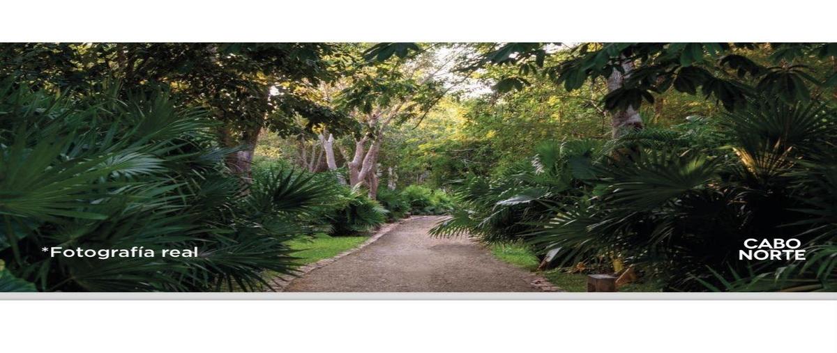 Foto de terreno habitacional en venta en  , cabo norte, mérida, yucatán, 29335883 No. 04