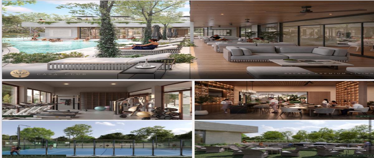 Foto de terreno habitacional en venta en  , cabo norte, mérida, yucatán, 29400034 No. 04