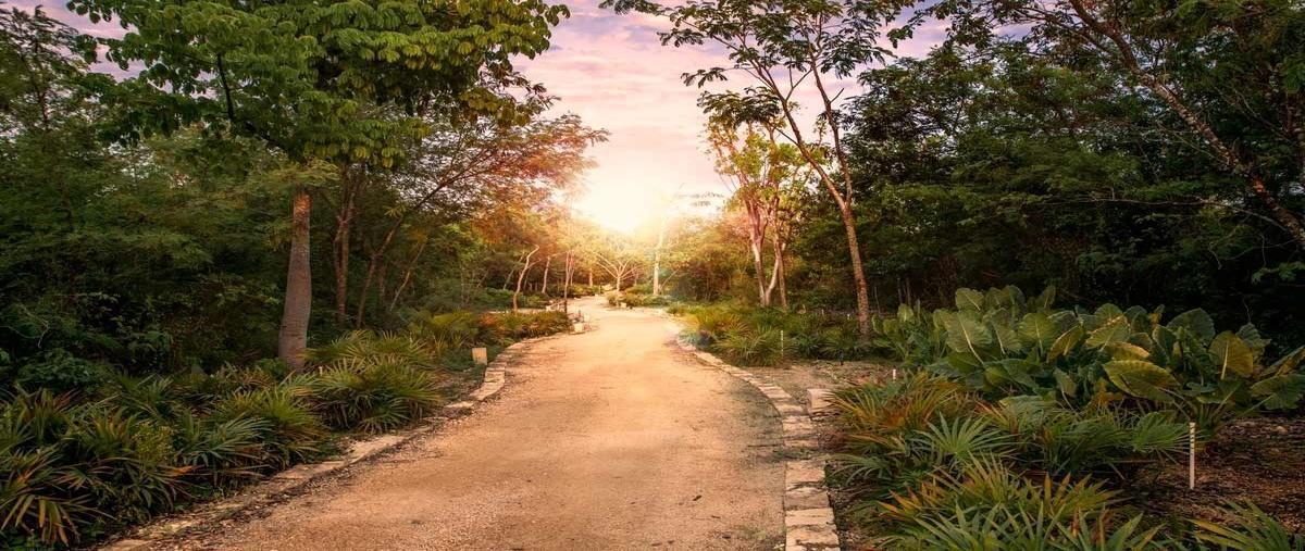 Foto de departamento en venta en  , cabo norte, mérida, yucatán, 29400761 No. 03