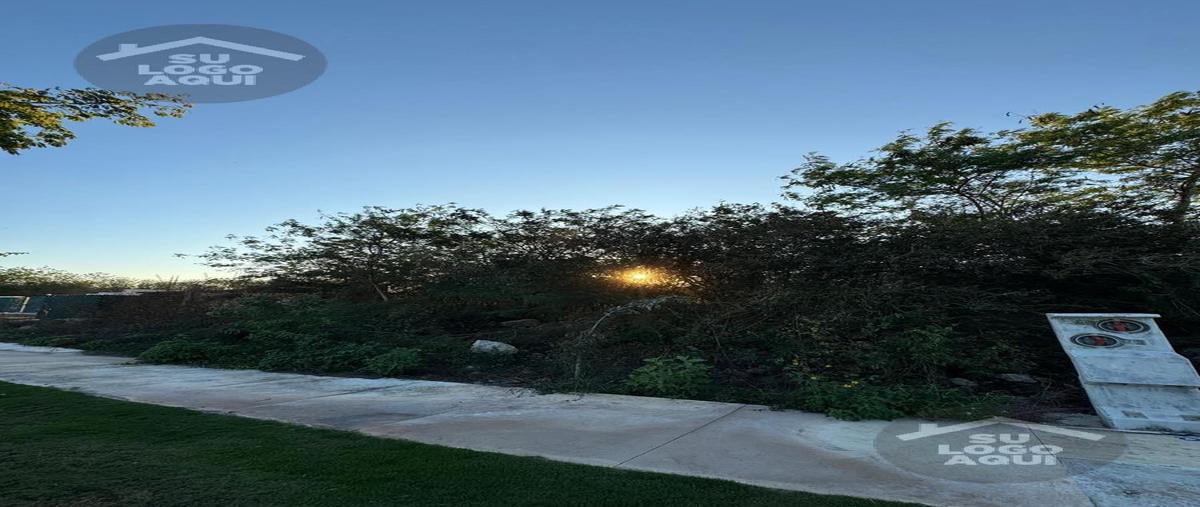 Foto de terreno habitacional en venta en  , cabo norte, mérida, yucatán, 29417049 No. 03