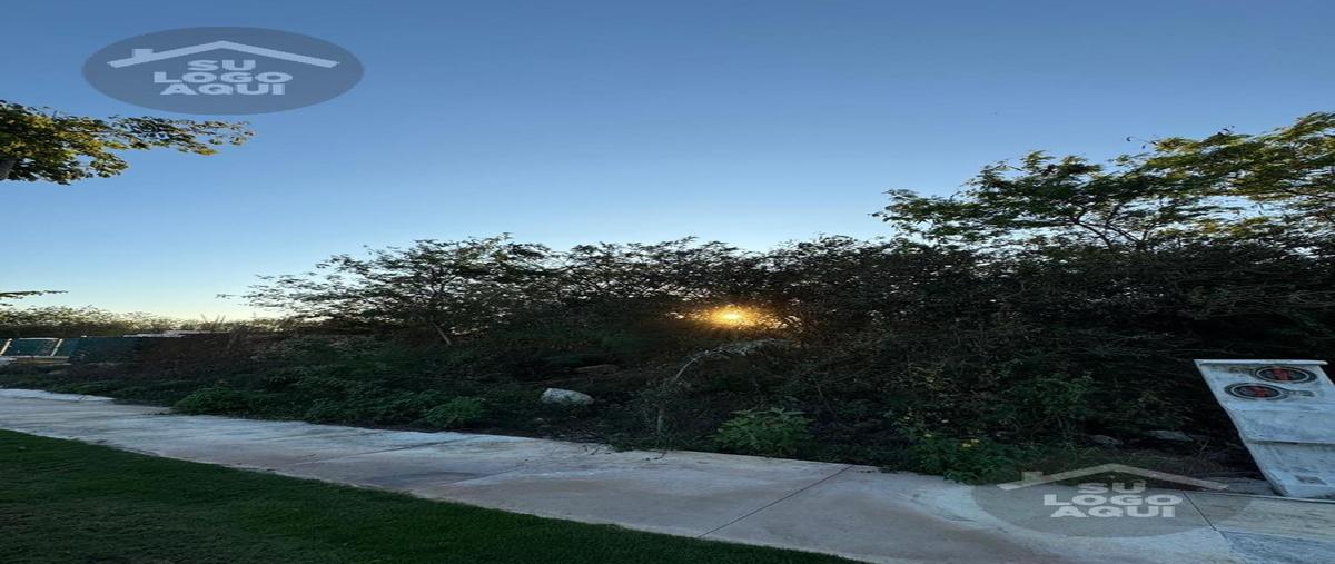 Foto de terreno habitacional en venta en  , cabo norte, mérida, yucatán, 29417049 No. 04