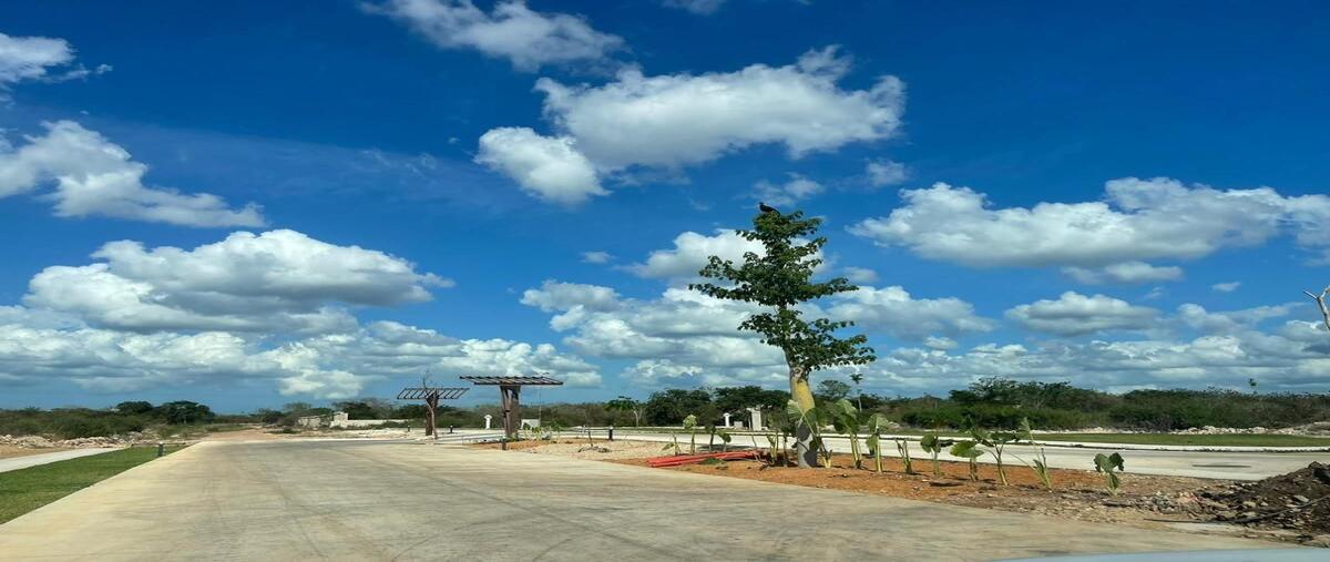 Foto de terreno habitacional en , cabo norte, mérida, yucatán, 29702569 foto 01 Foto de terreno habitacional en venta en , cabo norte, mérida, yucatán, 29702569 No. 01