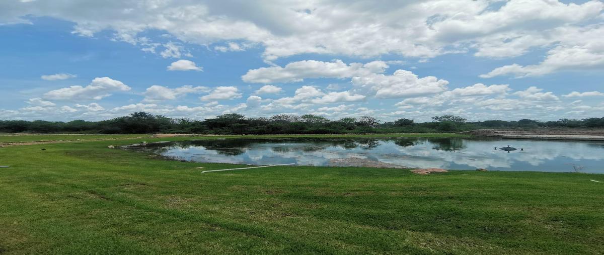 Foto de terreno habitacional en venta en  , cabo norte, mérida, yucatán, 0 No. 05