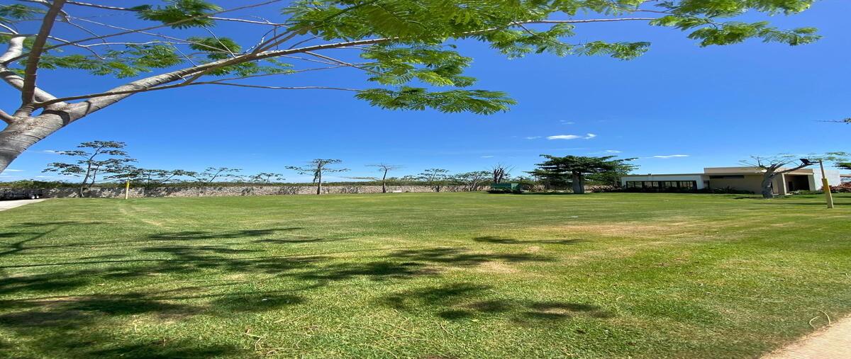 Foto de terreno habitacional en venta en  , cabo norte, mérida, yucatán, 0 No. 04