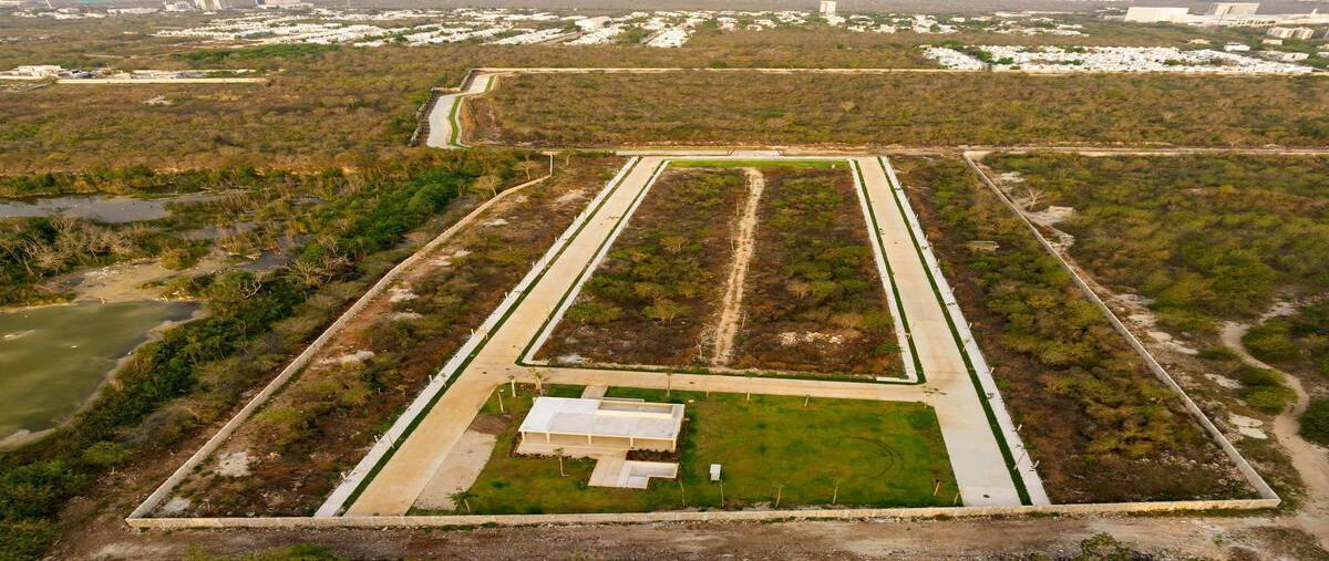 Foto de terreno habitacional en , cabo norte, mérida, yucatán, 0 foto 04 Foto de terreno habitacional en venta en , cabo norte, mérida, yucatán, 0 No. 04