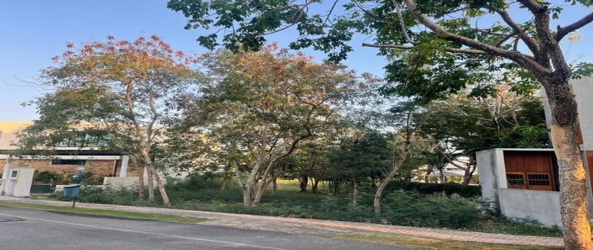 Foto de terreno habitacional en venta en  , cabo norte, mérida, yucatán, 0 No. 03