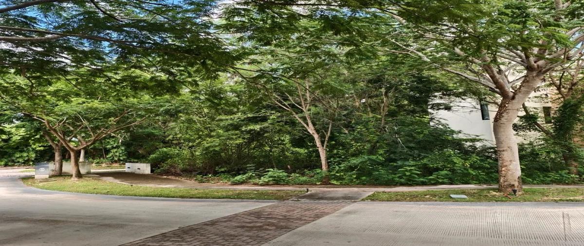 Foto de terreno habitacional en venta en  , cabo norte, mérida, yucatán, 0 No. 05
