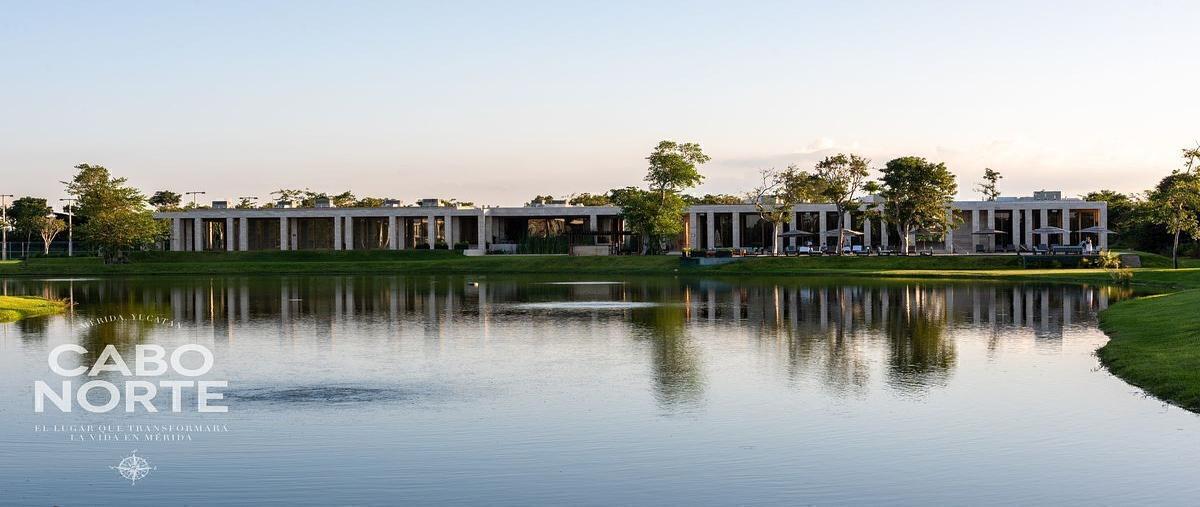 Foto de terreno habitacional en venta en  , cabo norte, mérida, yucatán, 0 No. 03