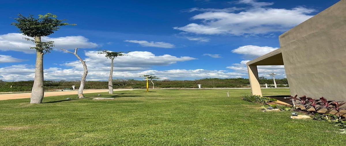 Foto de terreno habitacional en venta en  , cabo norte, mérida, yucatán, 0 No. 03