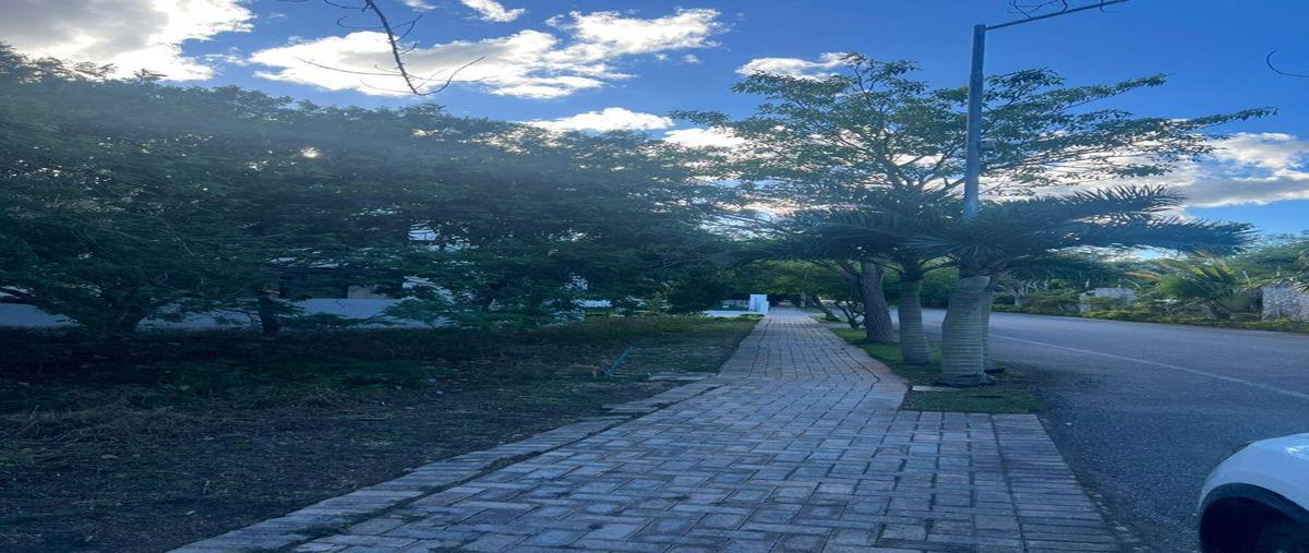 Foto de terreno habitacional en venta en  , cabo norte, mérida, yucatán, 30710964 No. 05