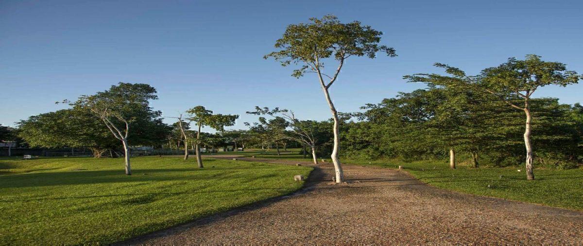 Foto de terreno habitacional en venta en  , cabo norte, mérida, yucatán, 30710970 No. 03