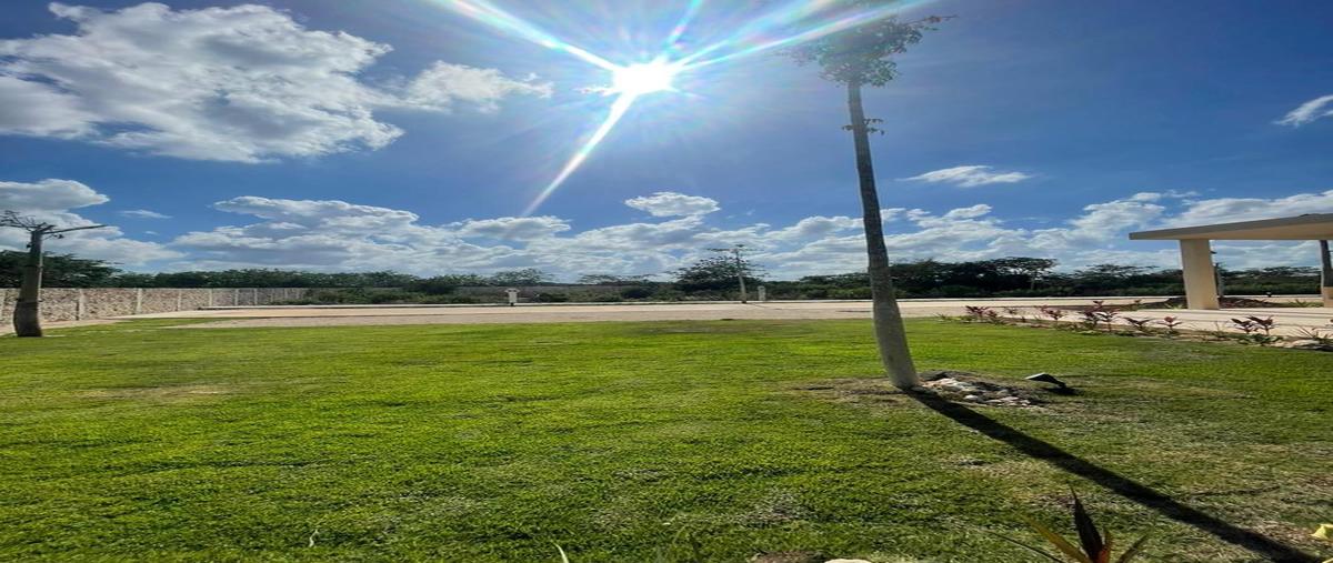 Foto de terreno habitacional en venta en  , cabo norte, mérida, yucatán, 0 No. 04