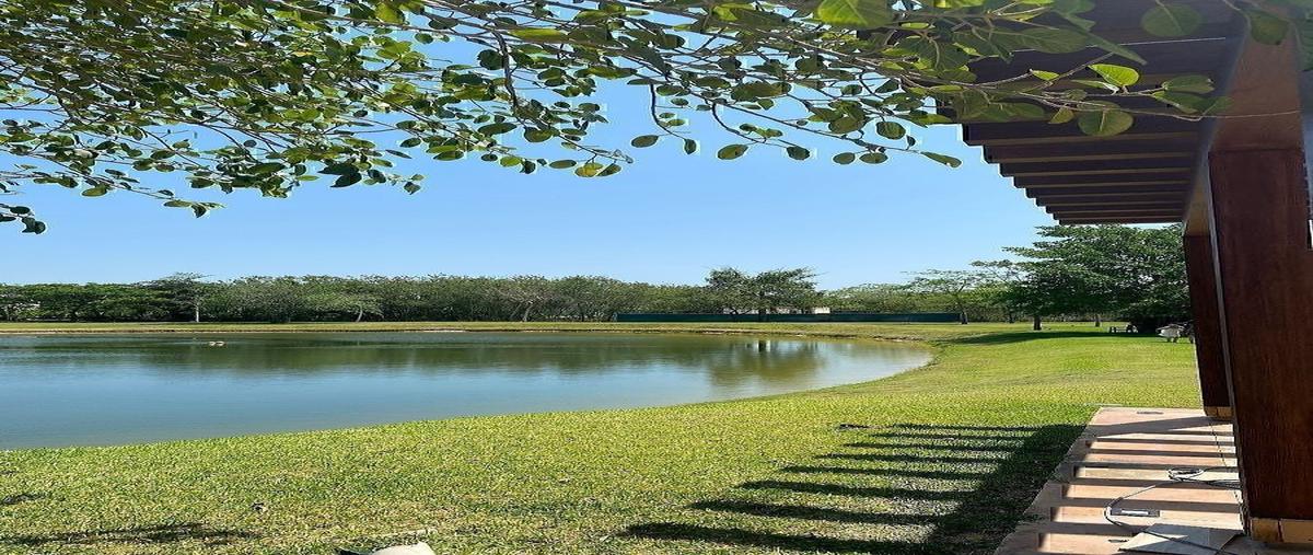 Foto de terreno habitacional en venta en  , cabo norte, mérida, yucatán, 0 No. 05