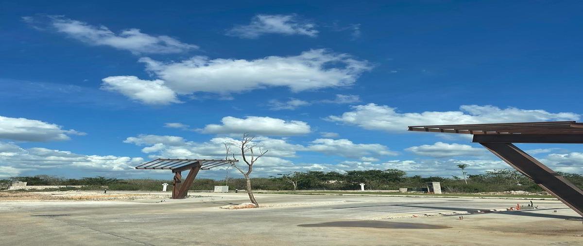 Foto de terreno habitacional en venta en  , cabo norte, mérida, yucatán, 0 No. 03